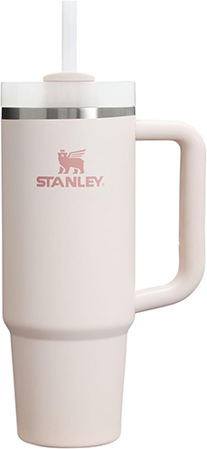 Stanley - Trendy Kids Water Bottle