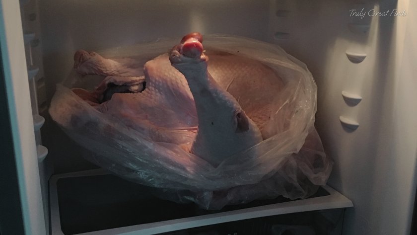 Trully Great Finds - Big Turkey Small Fridge