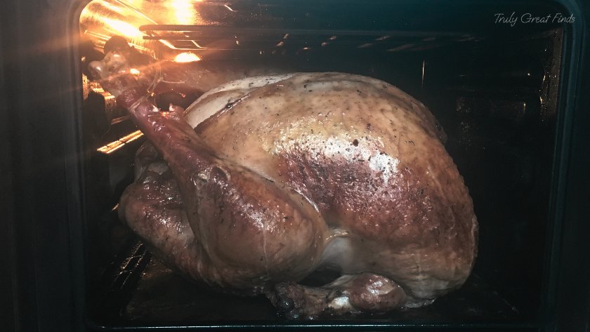 Truly Great Finds - Big Turkey Small Oven